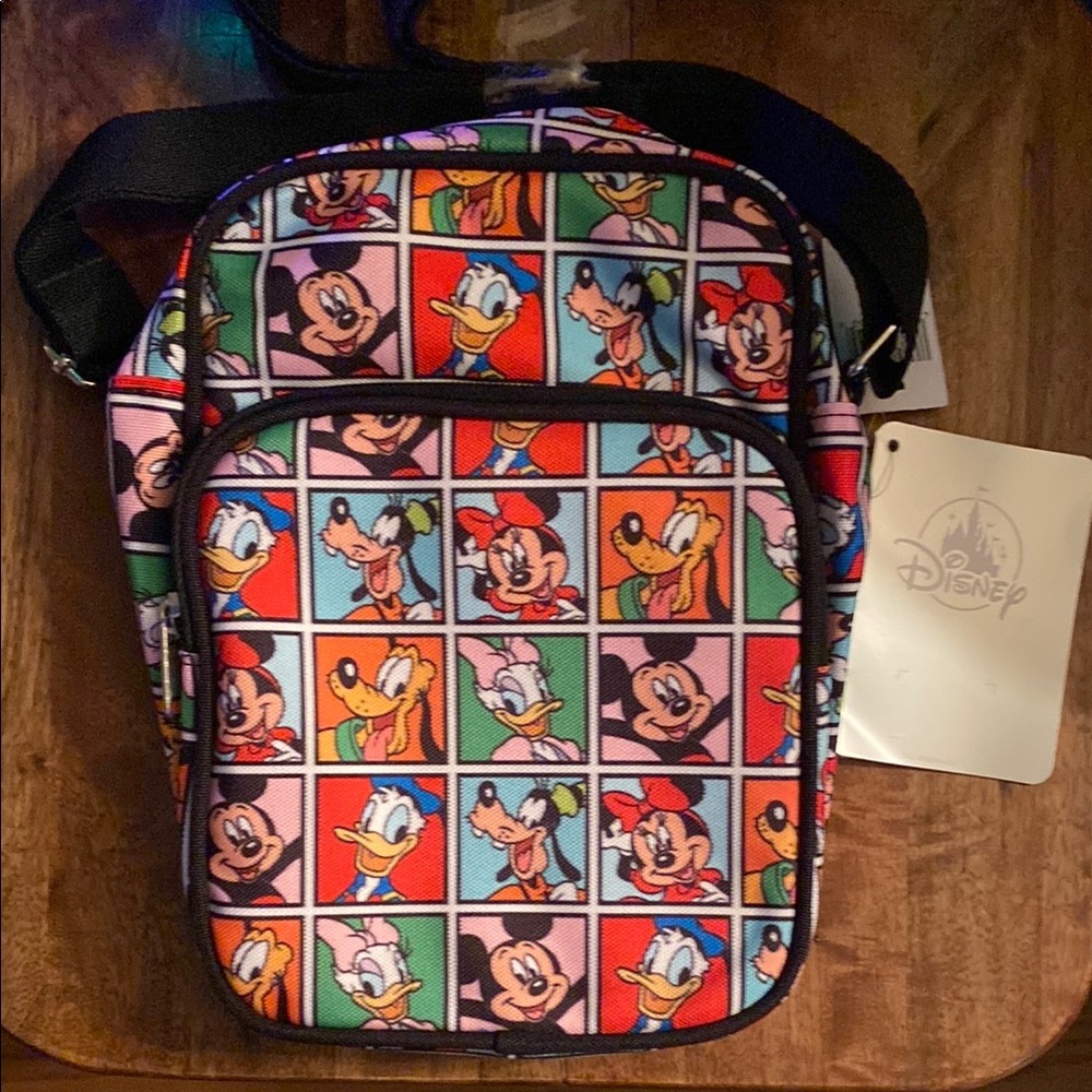 Disney Multicolor Bag